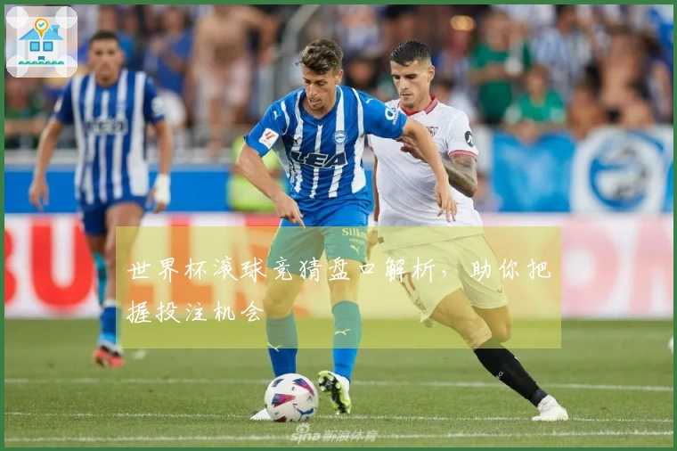世界杯滚球竞猜盘口解析，助你把握投注机会