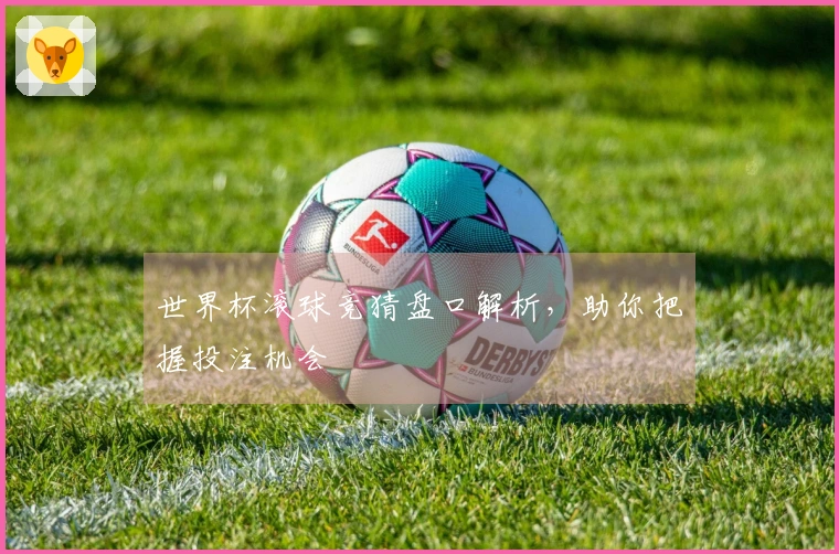 世界杯滚球竞猜盘口解析，助你把握投注机会