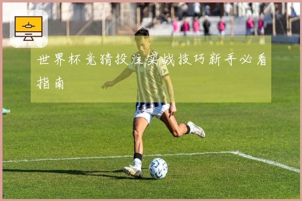 世界杯竞猜投注实战技巧新手必看指南