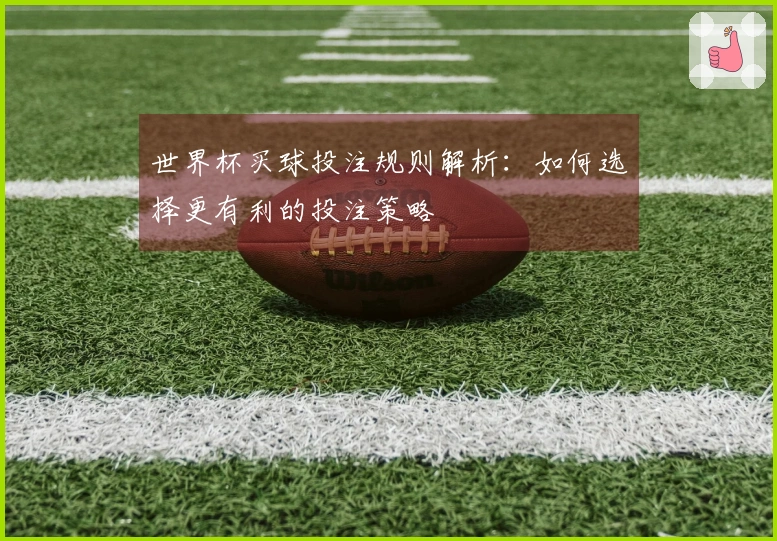 世界杯买球投注规则解析：如何选择更有利的投注策略